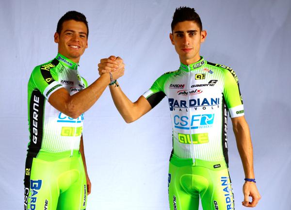 bardiani