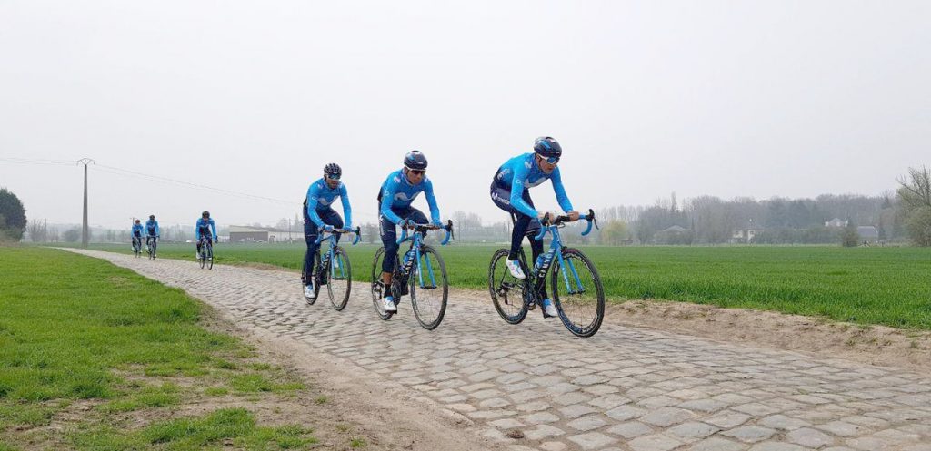mov pavé