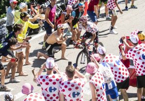 alaphilippe lunares