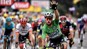 peter sagan verde
