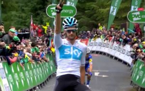 poels