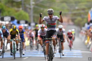 impey 19