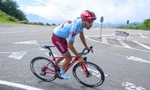 navarro 19