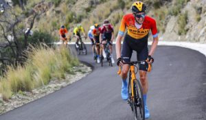 poels-apertura