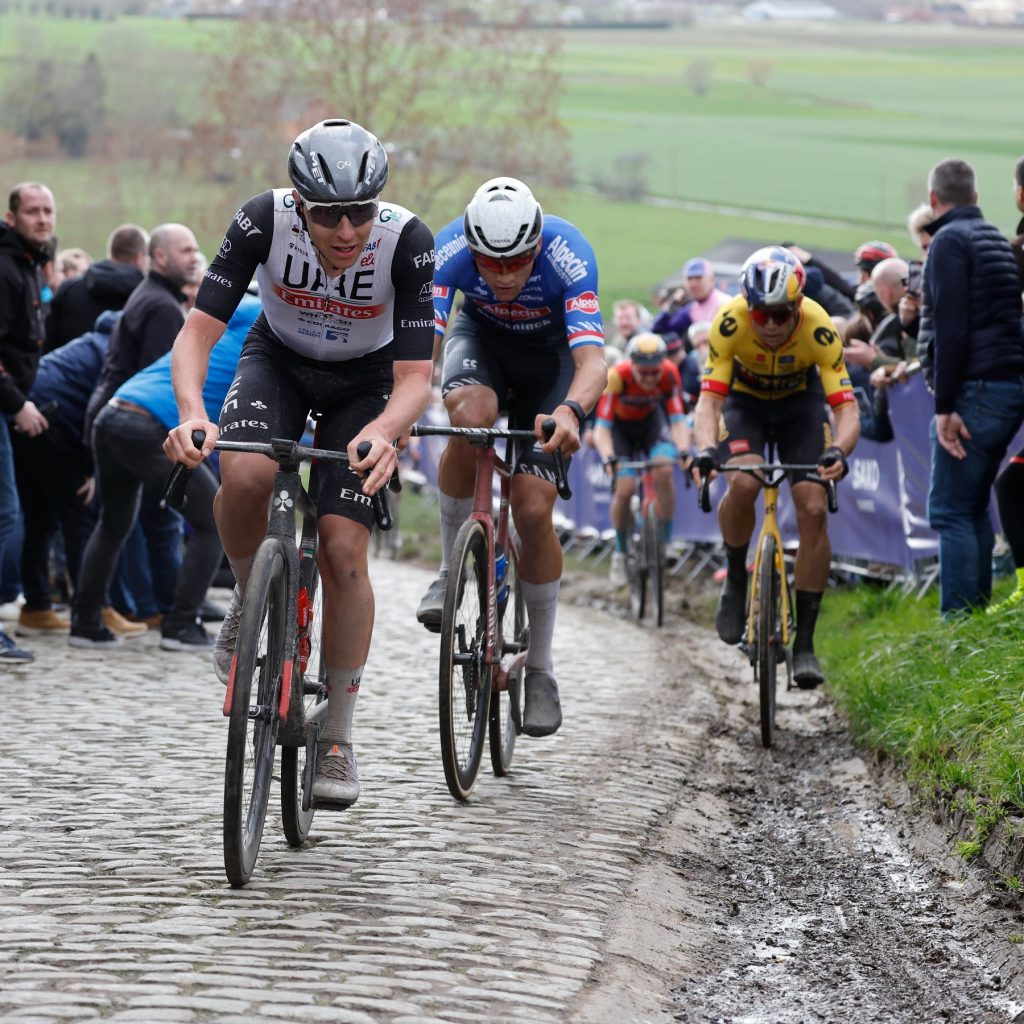 POGACAR VAN DER POEL
