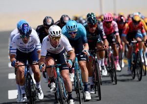 CAVENDISH BOL