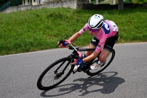 VAN VLEUTEN ROSA