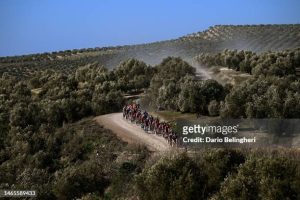 gettyimages-1465589433-612x612