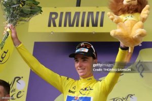 bardet amarillo