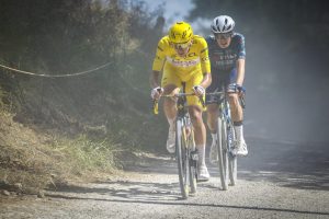 Pogacar, Vingegaard, Visma - Lease a Bike