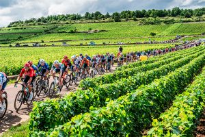 Pelotón, Tour de France, ASO