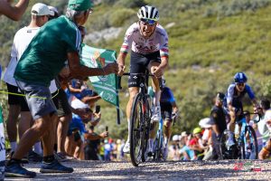 Joao Almeida, UAE Team Emirates