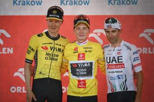 vinge polonia