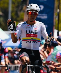 narvaez willunga