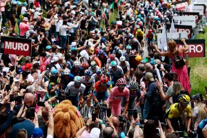 Pelotón Giro de Italia, ph SprintCycling
