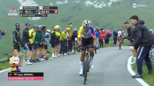 bernal grappa