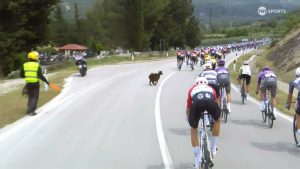 cabra giro 2025 e3