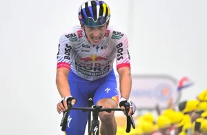 lipowitz tdf