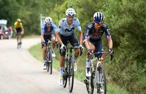 Roglic Mas