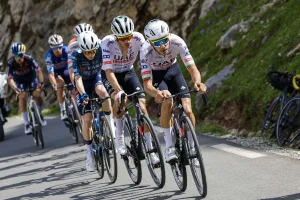 ayuso almeida tdf 2024