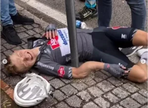 hollmann alpecin 2