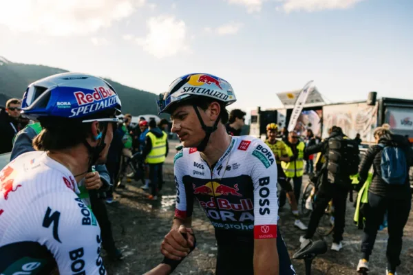 Red Bull, Giulio Pellizzari, Primoz Roglic