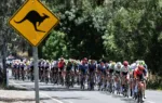 Canguros Tour Down Under