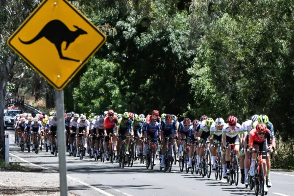 Canguros Tour Down Under